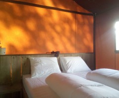 gallery images